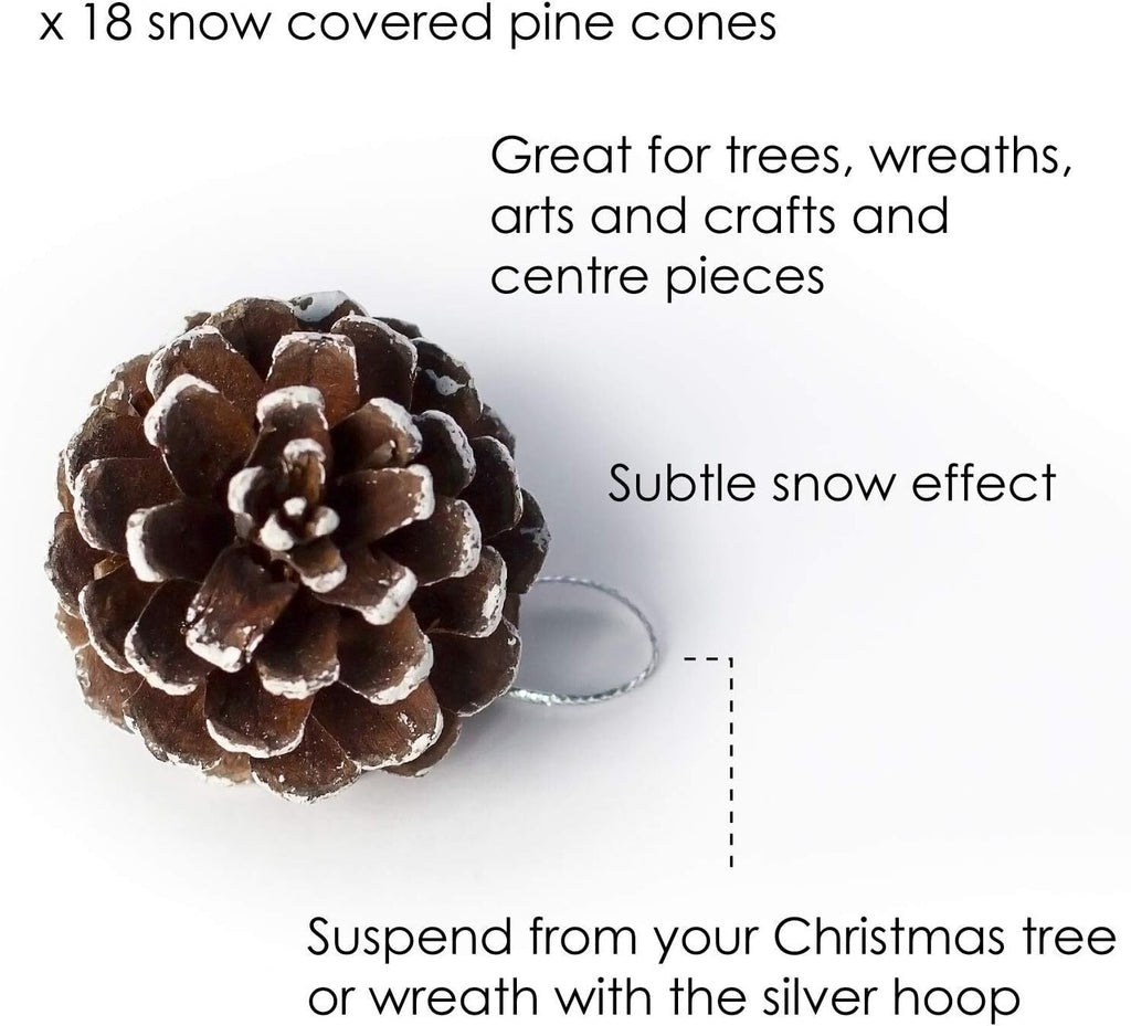 TRIXES Christmas Tree Decorations - 18PC - Hanging Pine Cones