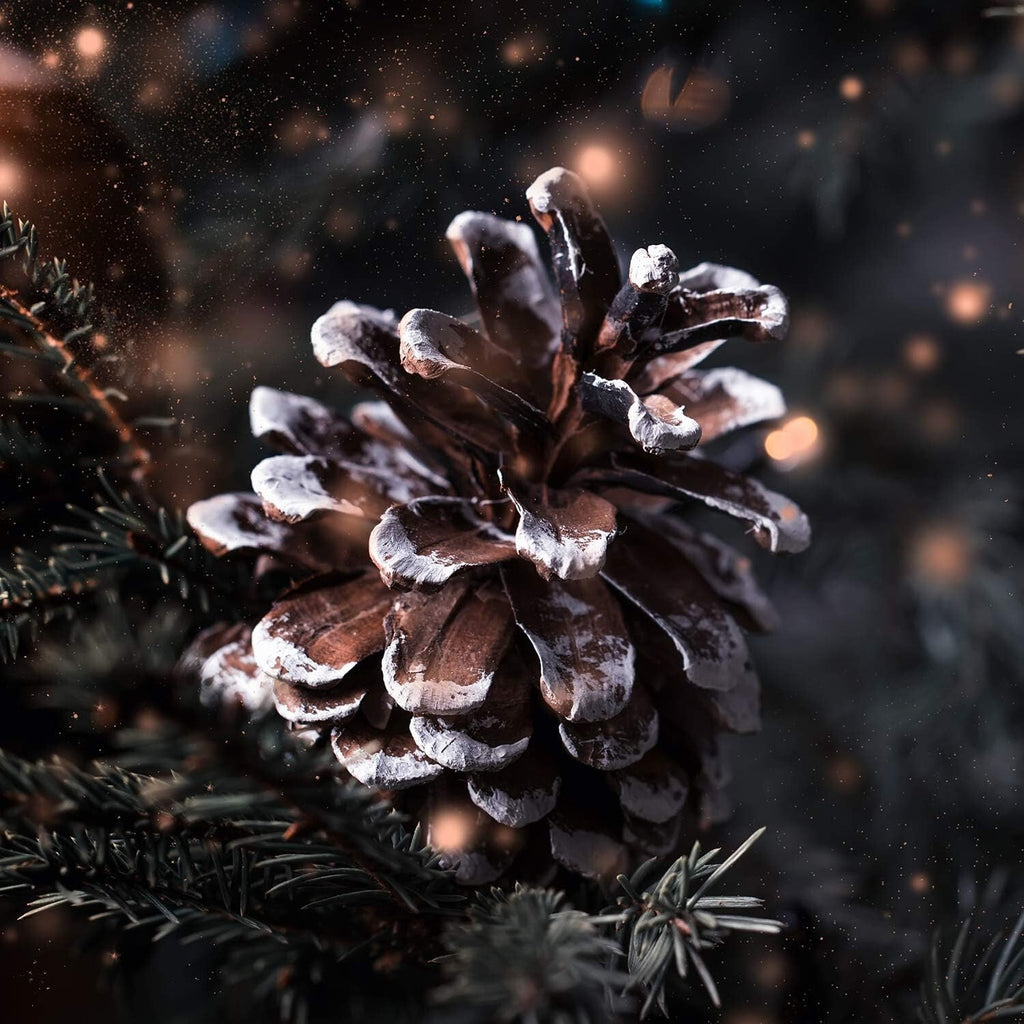 TRIXES Christmas Tree Decorations - 18PC - Hanging Pine Cones