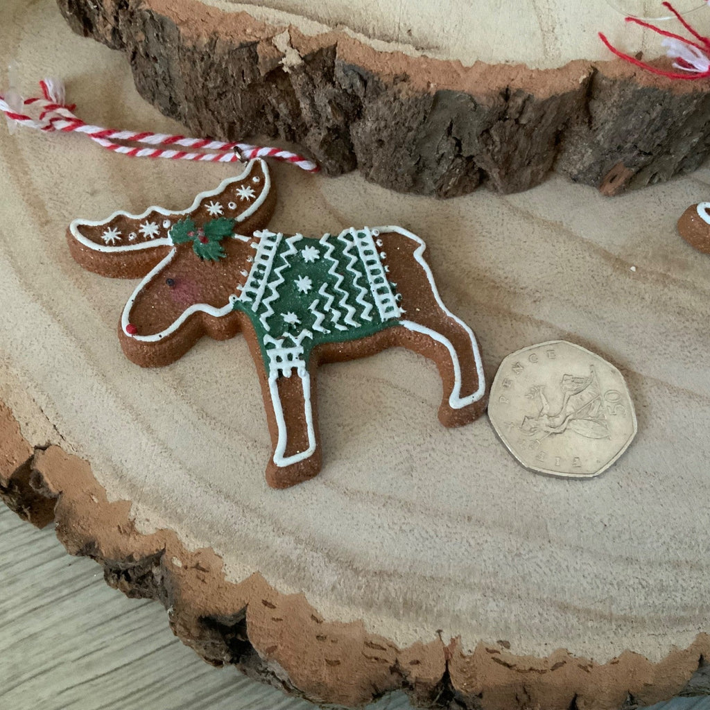 Iced Gingerbread Style Cookie Christmas Decoration Robin Jumper Gisela Graham