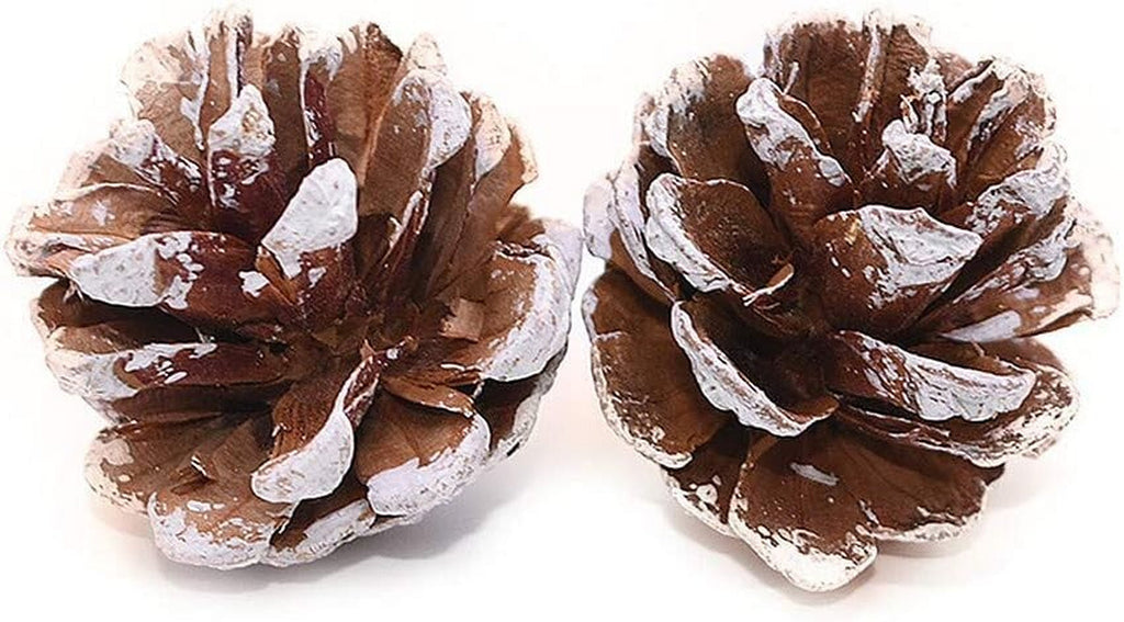 TRIXES Christmas Tree Decorations - 18PC - Hanging Pine Cones