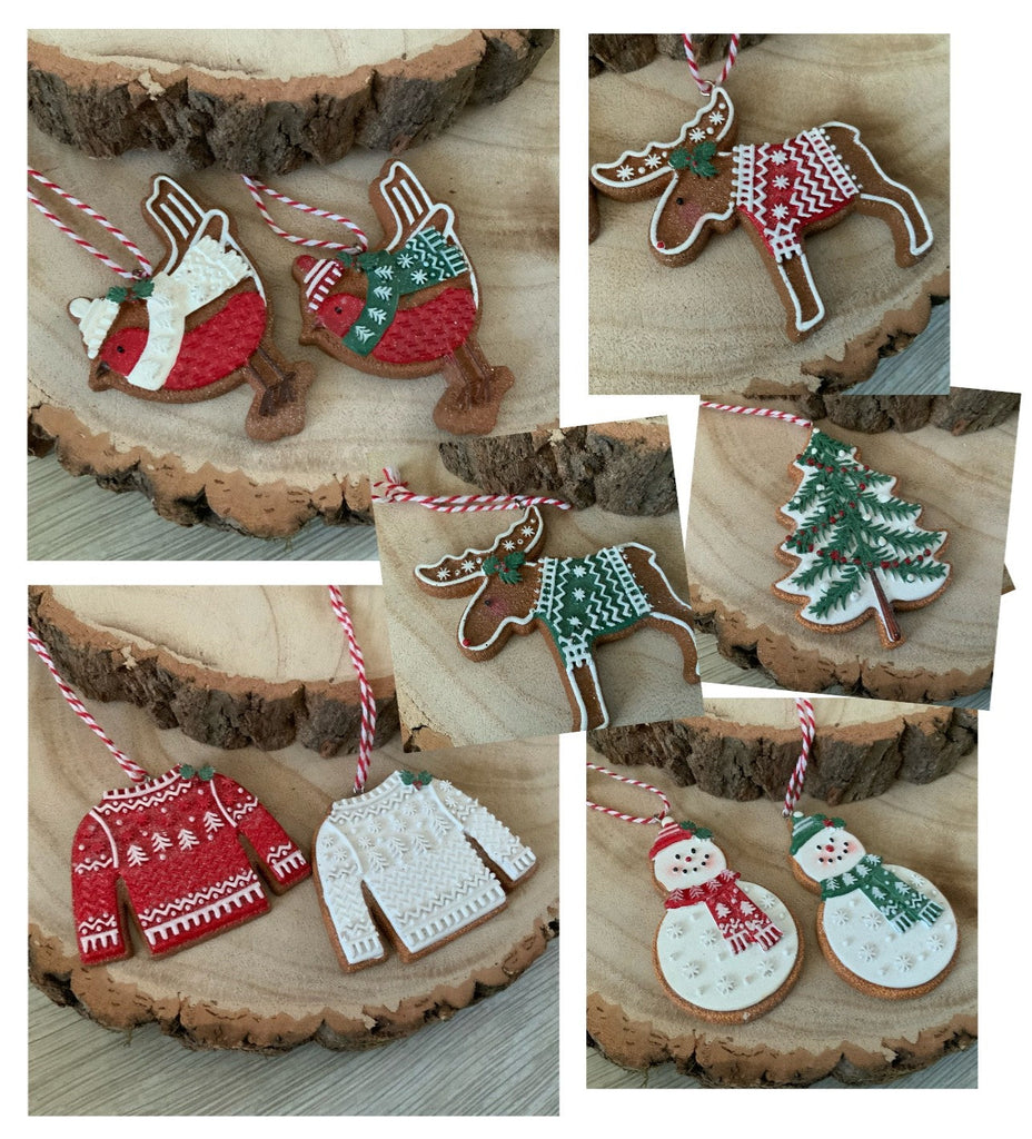Iced Gingerbread Style Cookie Christmas Decoration Robin Jumper Gisela Graham