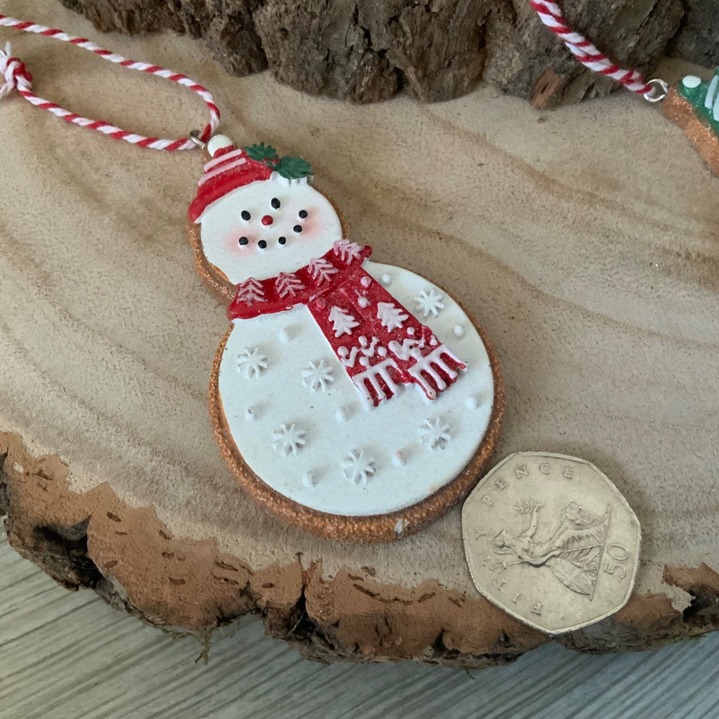 Iced Gingerbread Style Cookie Christmas Decoration Robin Jumper Gisela Graham