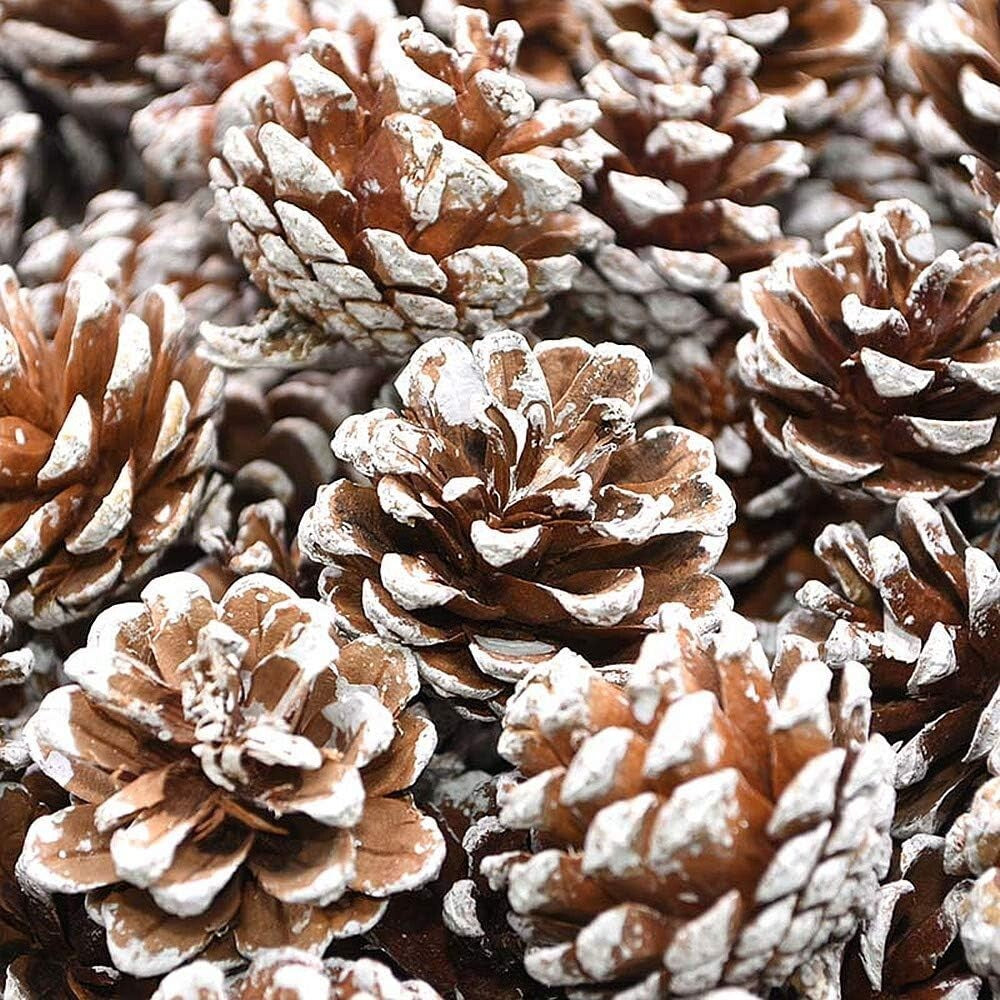 TRIXES Christmas Tree Decorations - 18PC - Hanging Pine Cones