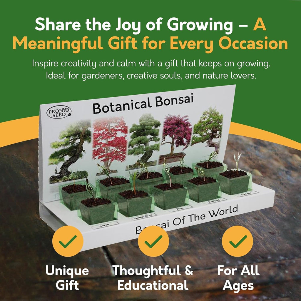Grow Your Own Bonsai Tree Kit with 5 Seed Varieties - Indoor Growing Set with Sustainable Packaging Display - Gift for Women, Men - Beginner-Friendly