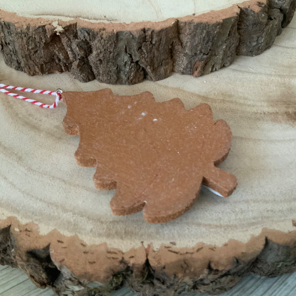 Iced Gingerbread Style Cookie Christmas Decoration Robin Jumper Gisela Graham