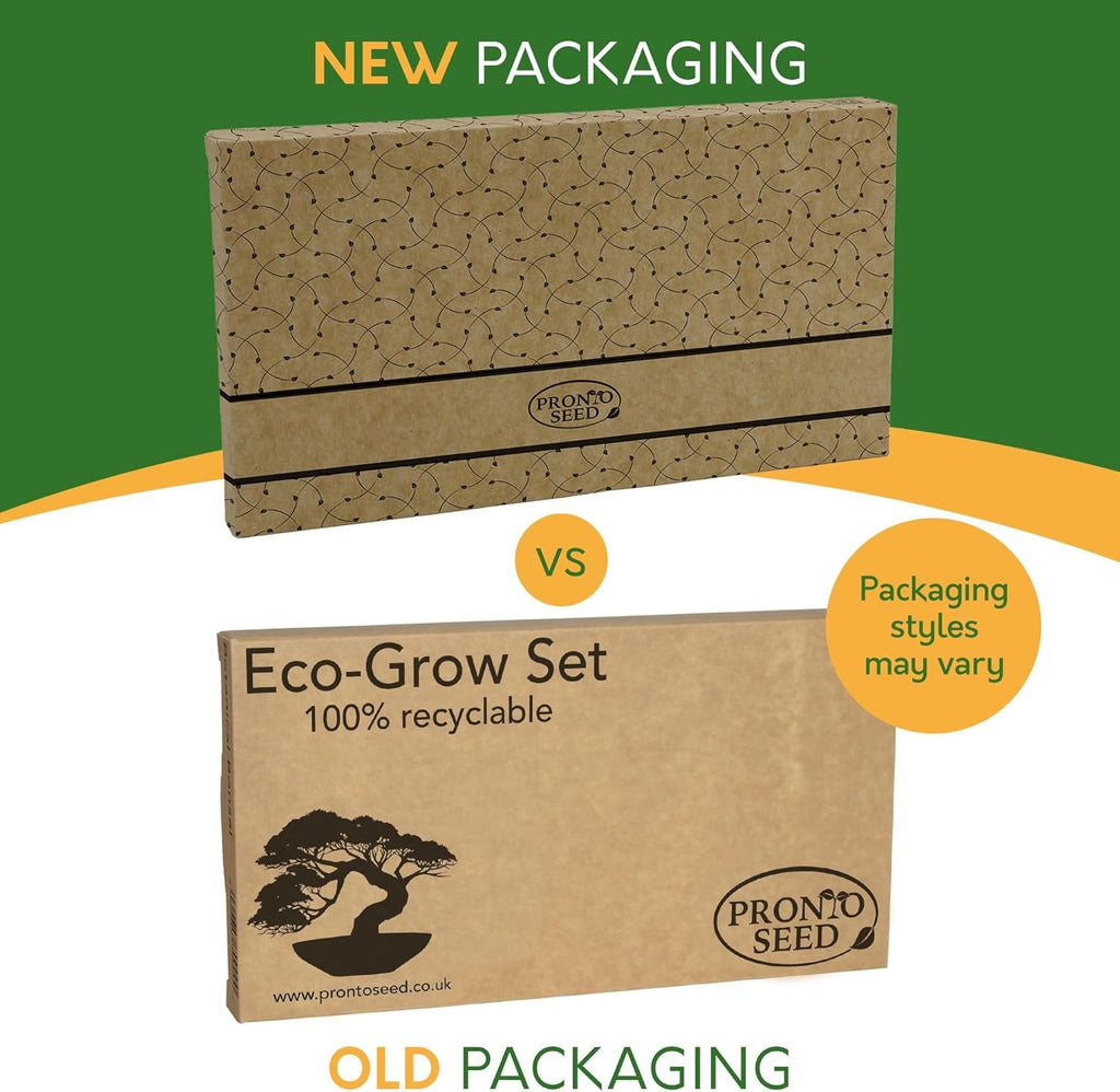 Grow Your Own Bonsai Tree Kit with 5 Seed Varieties - Indoor Growing Set with Sustainable Packaging Display - Gift for Women, Men - Beginner-Friendly