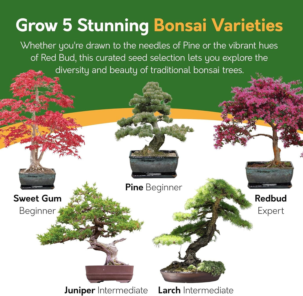 Grow Your Own Bonsai Tree Kit with 5 Seed Varieties - Indoor Growing Set with Sustainable Packaging Display - Gift for Women, Men - Beginner-Friendly