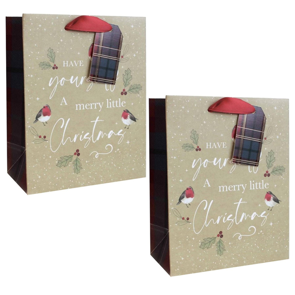 Christmas Gift Bag Set of 2 with Gift Tag - 23Cm X 18Cm X 10Cm - Merry Christmas