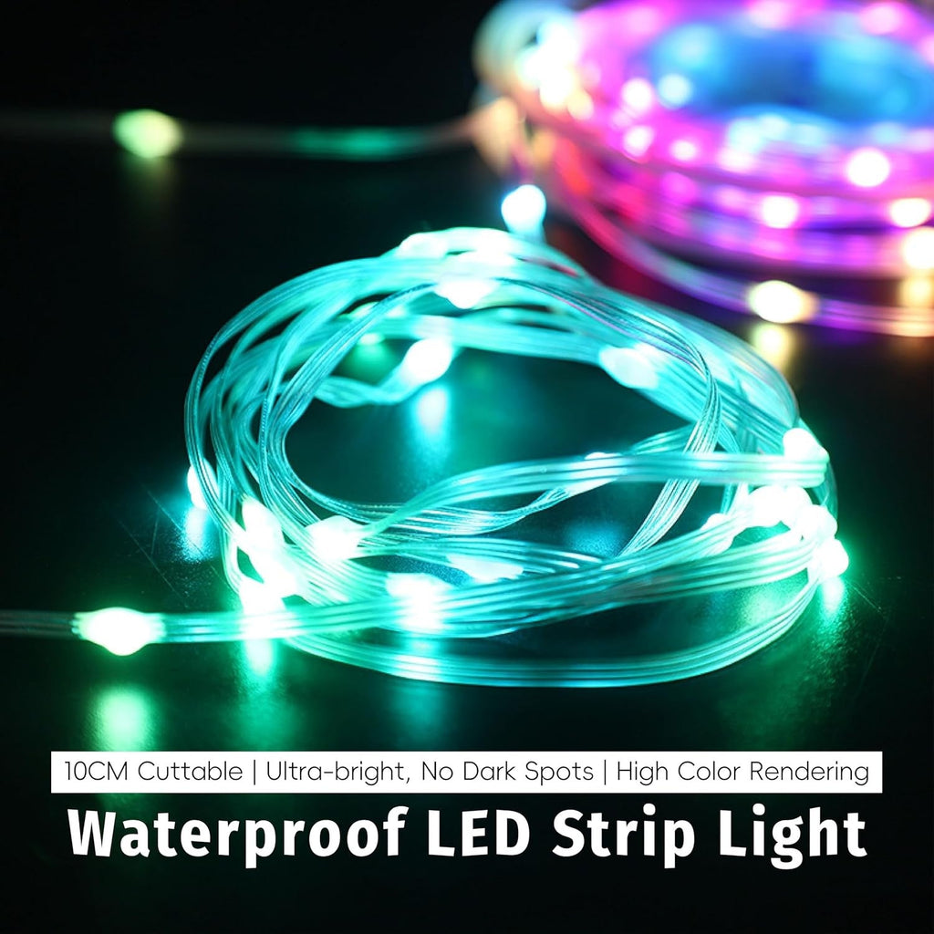 10M 20M RGBIC Chasing Effect LED String Fairy Lights Dream Color+Remote Control