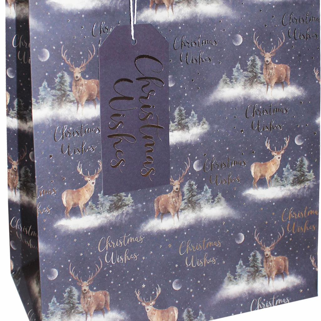 Christmas Gift Bag with Tag 100% Recyclable 25Cm X 21.5Cm - Choose Design