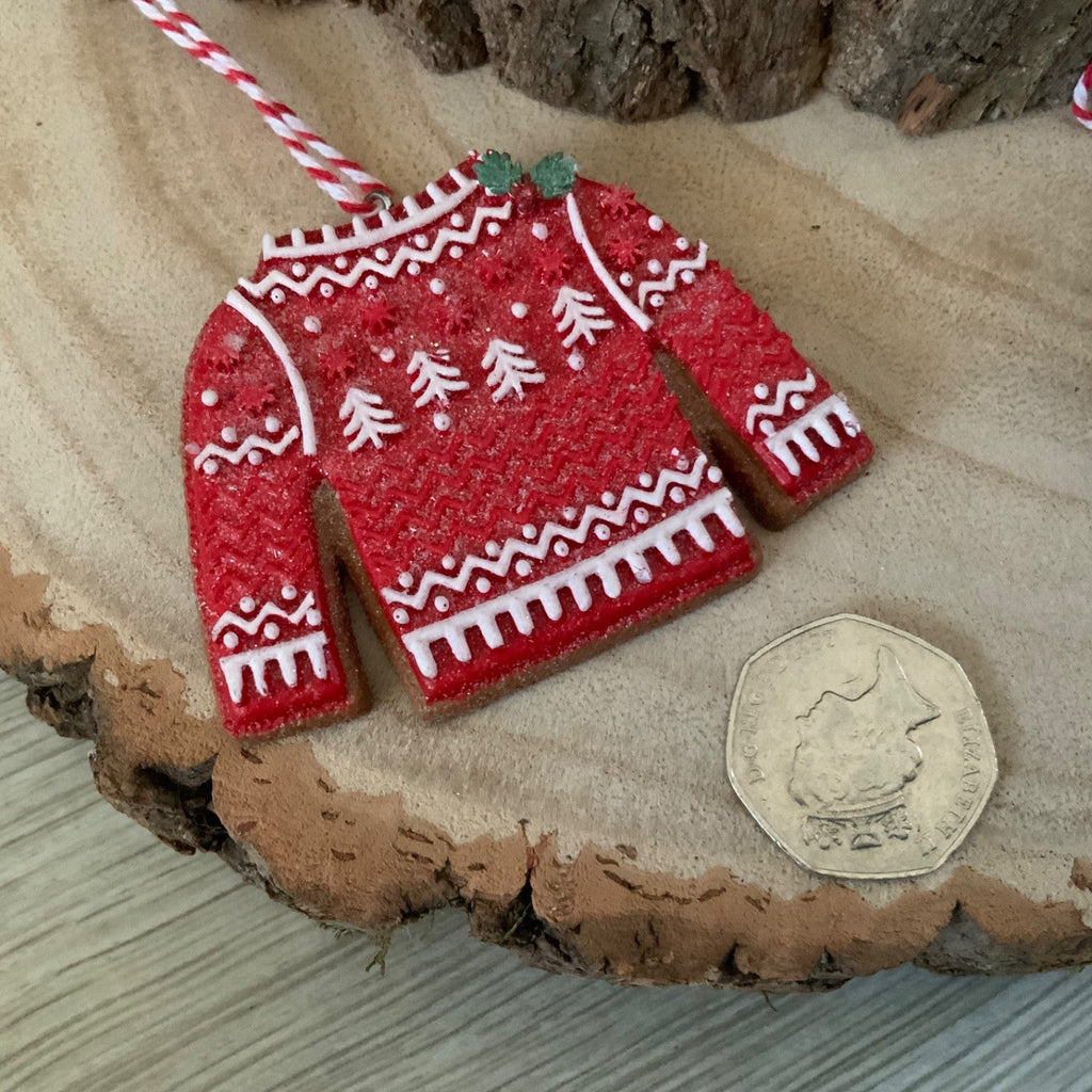 Iced Gingerbread Style Cookie Christmas Decoration Robin Jumper Gisela Graham