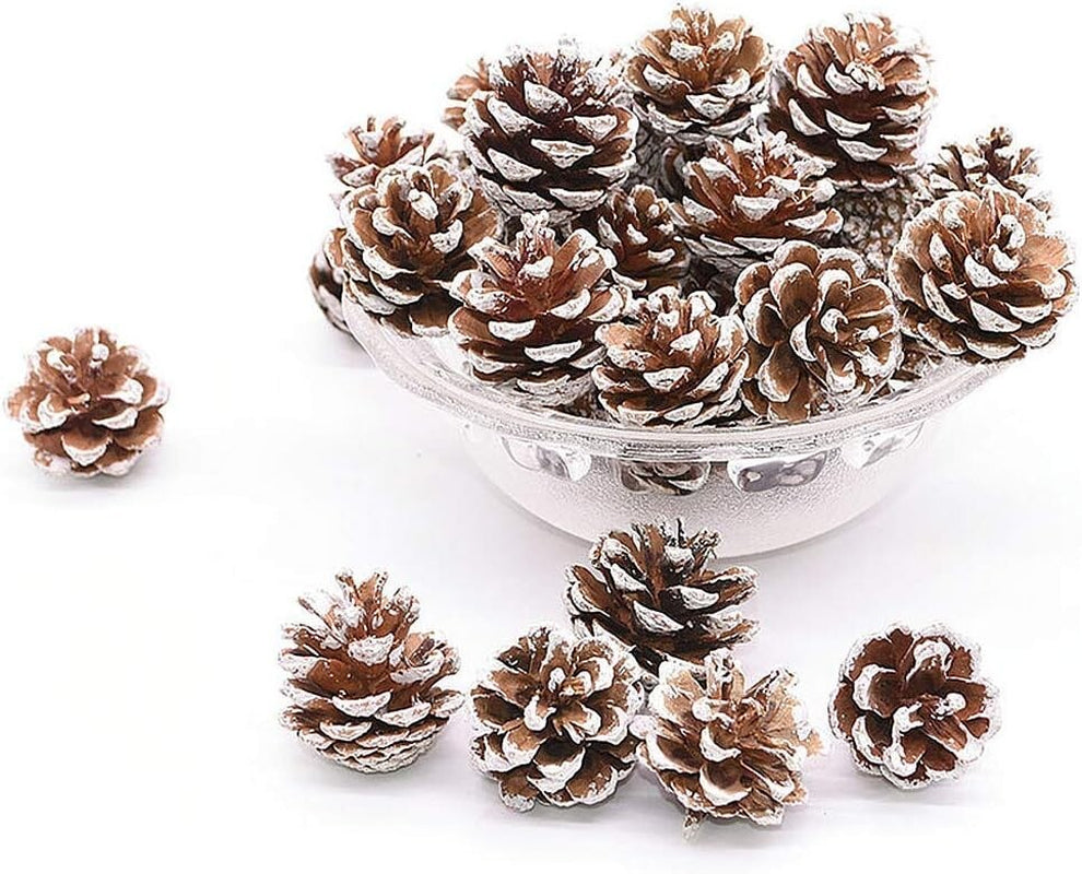 TRIXES Christmas Tree Decorations - 18PC - Hanging Pine Cones