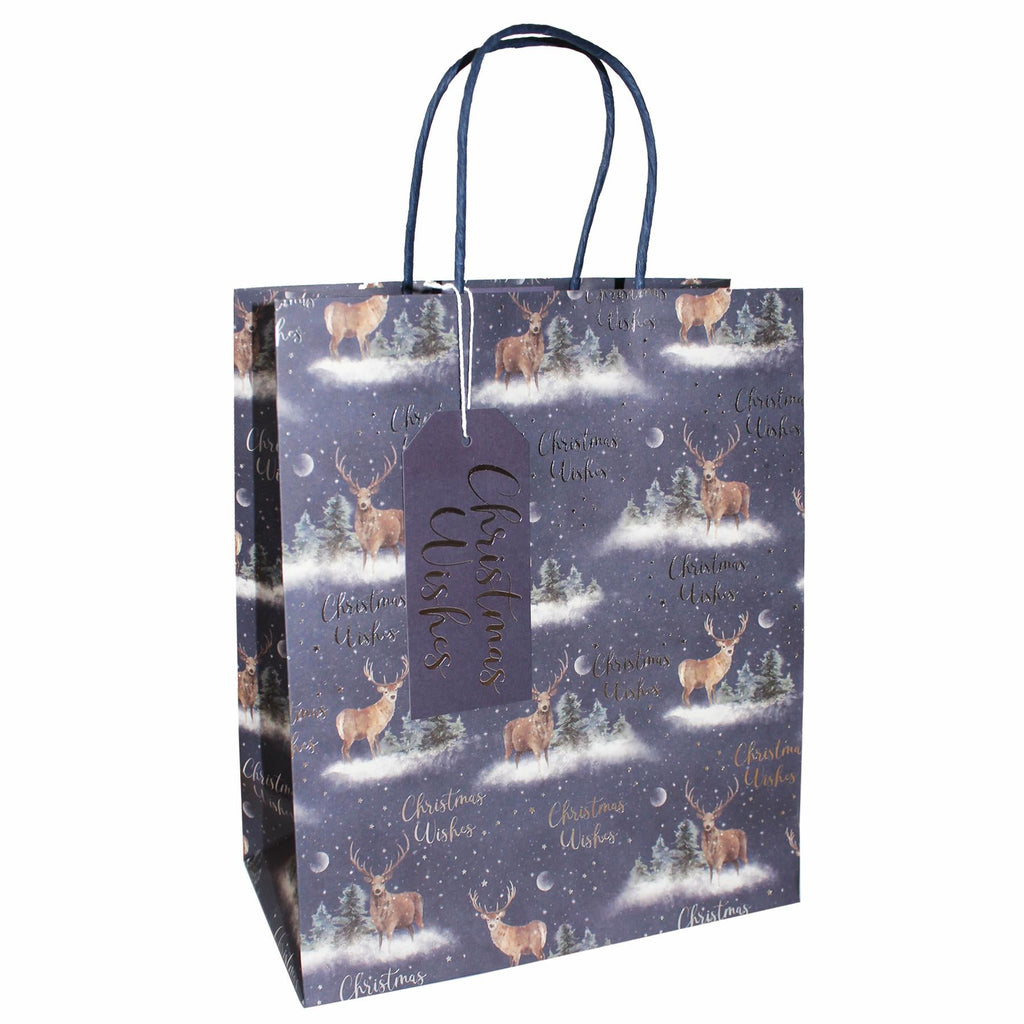 Christmas Gift Bag with Tag 100% Recyclable 25Cm X 21.5Cm - Choose Design