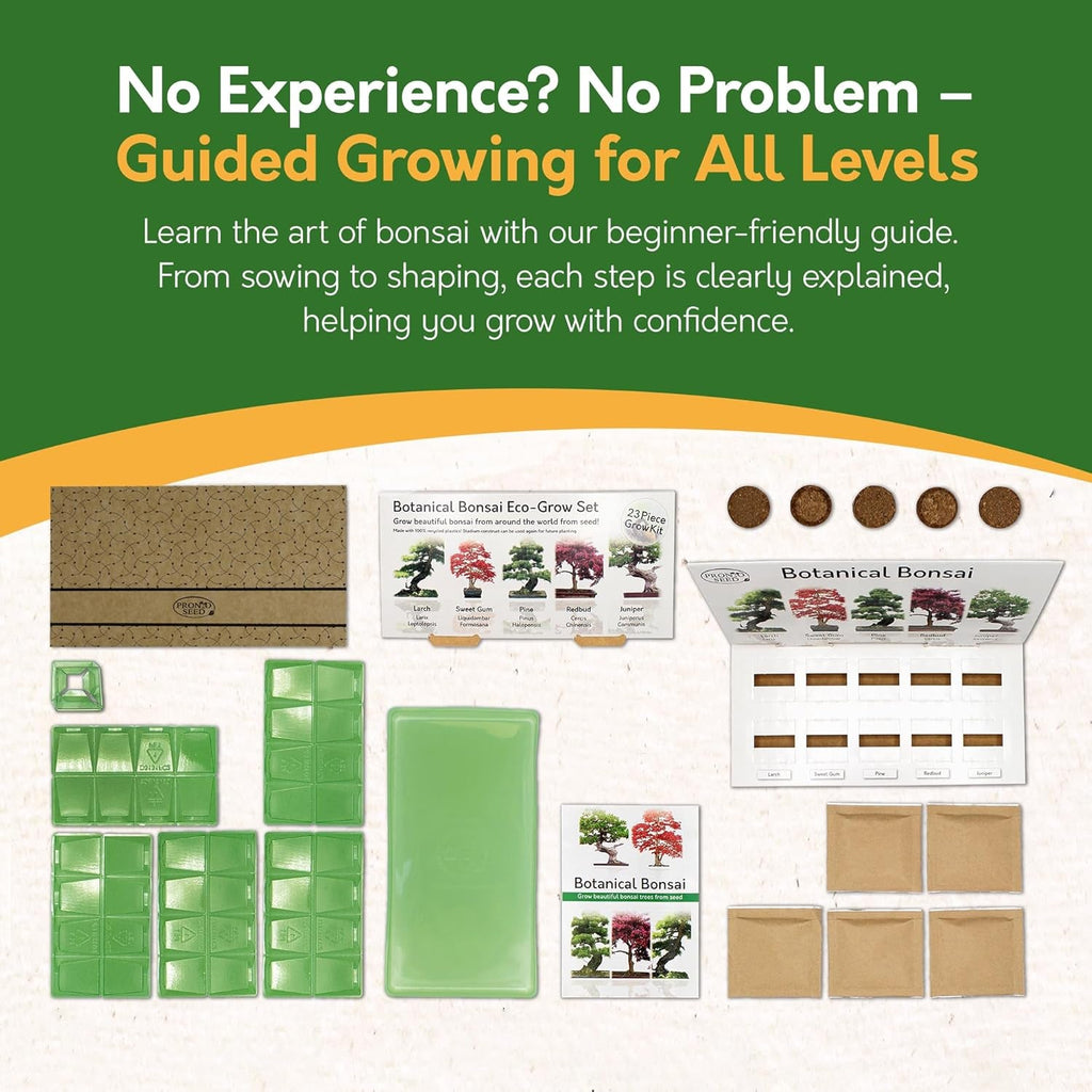 Grow Your Own Bonsai Tree Kit with 5 Seed Varieties - Indoor Growing Set with Sustainable Packaging Display - Gift for Women, Men - Beginner-Friendly